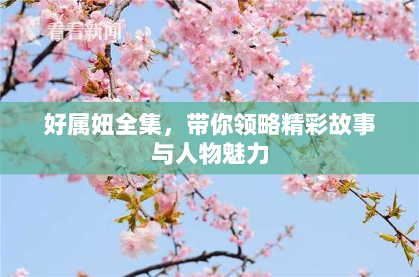 好属妞全集，带你领略精彩故事与人物魅力