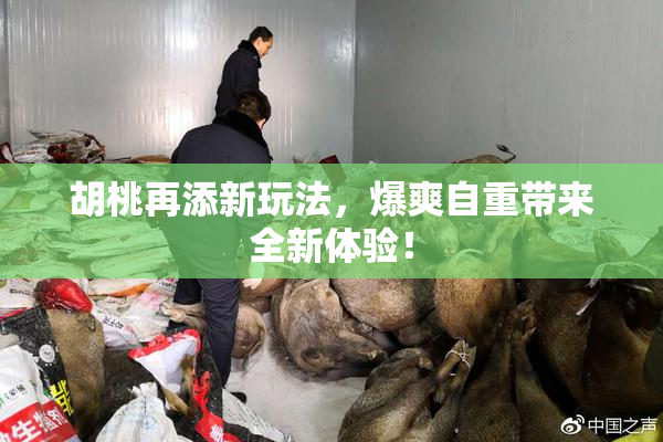 胡桃再添新玩法，爆爽自重带来全新体验！
