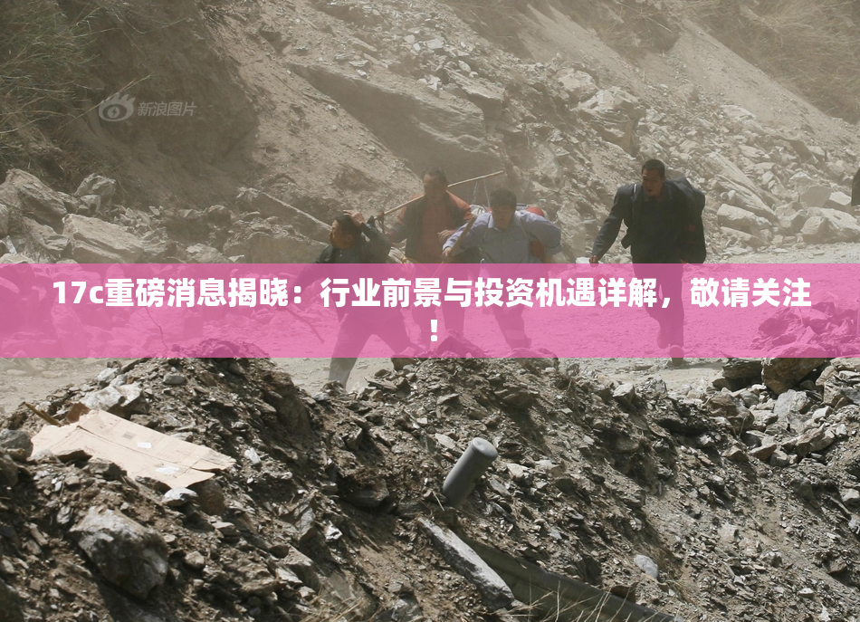 17c重磅消息揭晓：行业前景与投资机遇详解，敬请关注！