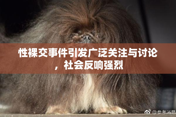 性裸交事件引发广泛关注与讨论，社会反响强烈