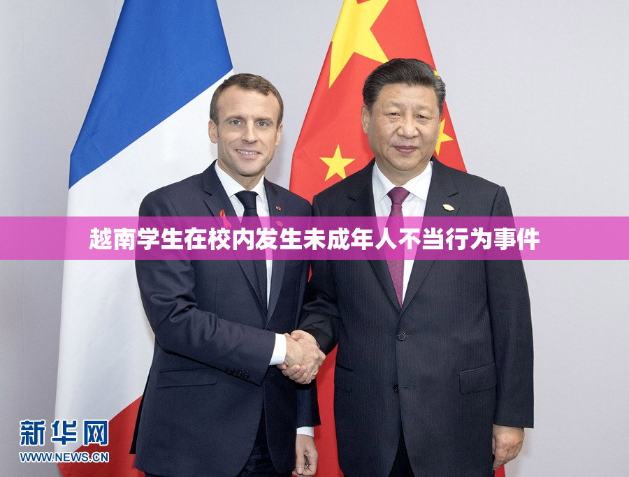 越南学生在校内发生未成年人不当行为事件