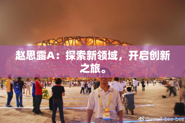 赵思露A：探索新领域，开启创新之旅。
