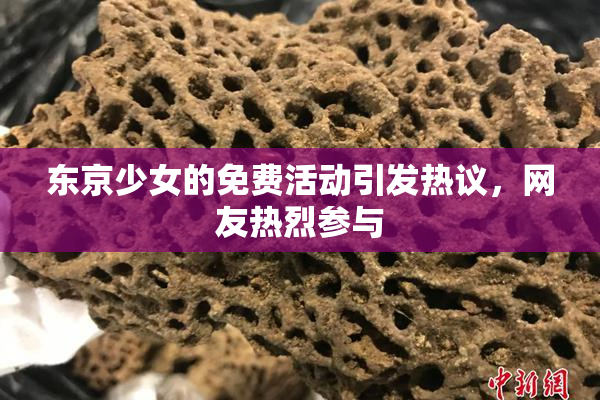 东京少女的免费活动引发热议，网友热烈参与