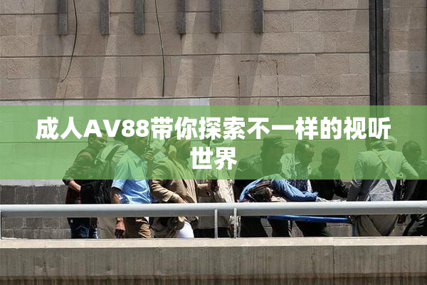 成人AV88带你探索不一样的视听世界