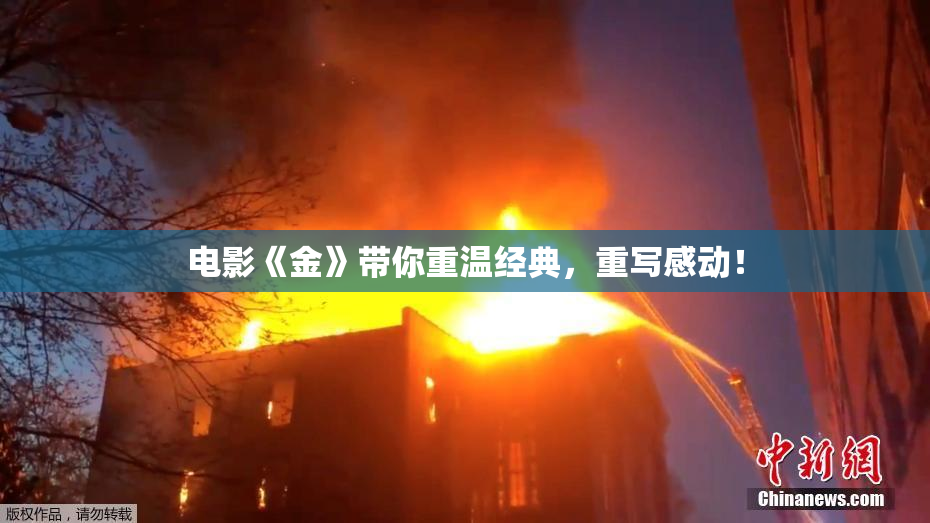 电影《金》带你重温经典，重写感动！