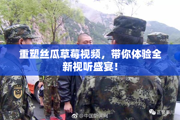 重塑丝瓜草莓视频，带你体验全新视听盛宴！