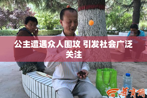 公主遭遇众人围攻 引发社会广泛关注