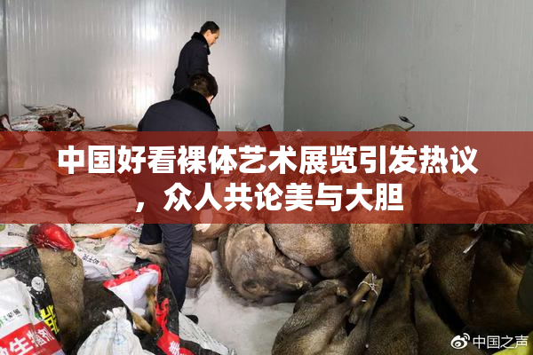 中国好看裸体艺术展览引发热议，众人共论美与大胆