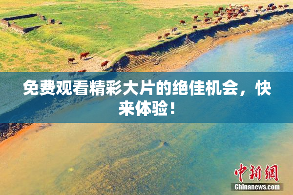 免费观看精彩大片的绝佳机会，快来体验！