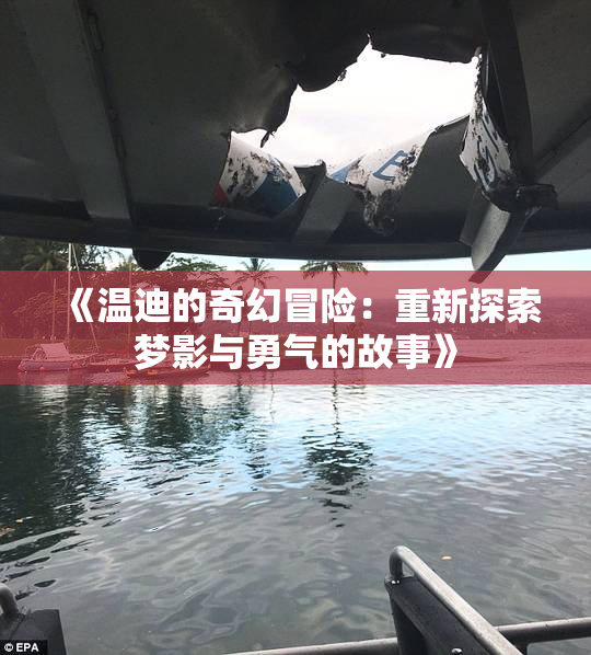 《温迪的奇幻冒险：重新探索梦影与勇气的故事》