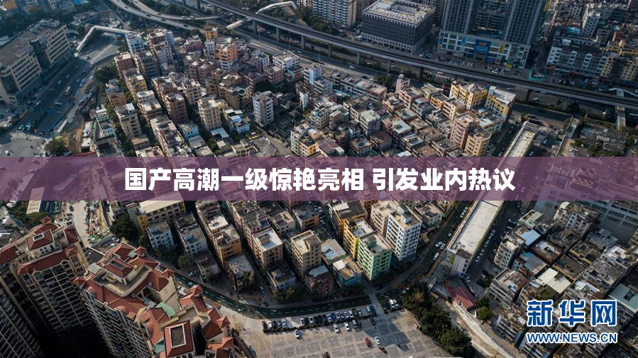 国产高潮一级惊艳亮相 引发业内热议