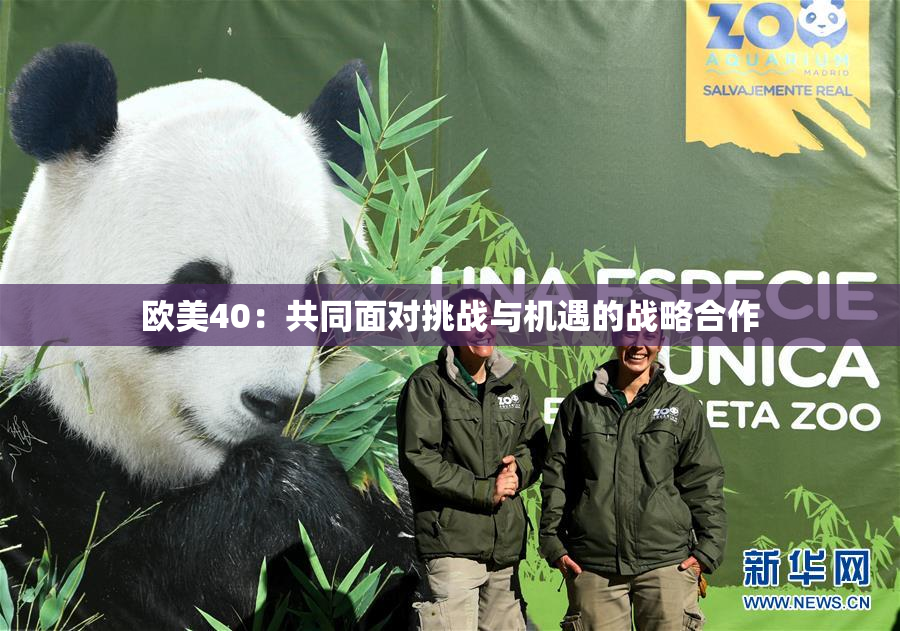 欧美40：共同面对挑战与机遇的战略合作