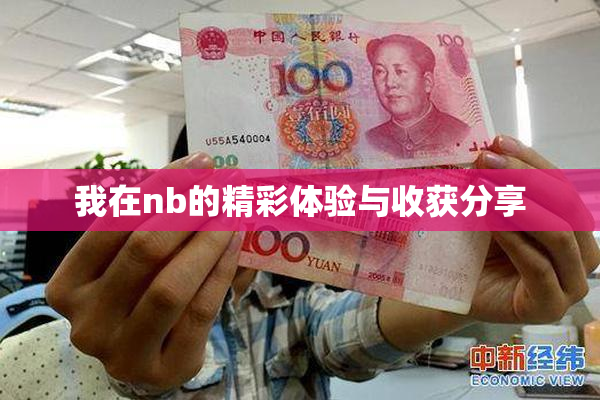 我在nb的精彩体验与收获分享