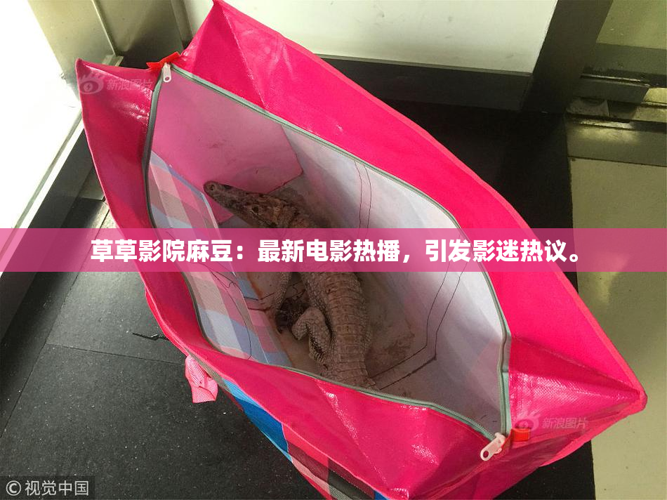 草草影院麻豆：最新电影热播，引发影迷热议。