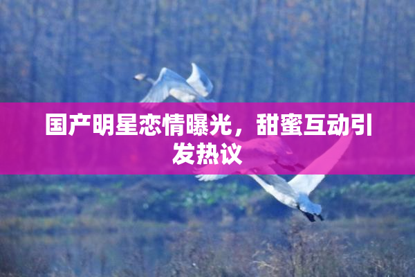 国产明星恋情曝光，甜蜜互动引发热议