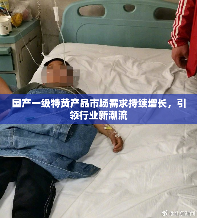 国产一级特黄产品市场需求持续增长，引领行业新潮流