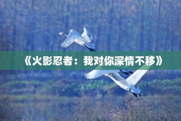 《火影忍者：我对你深情不移》