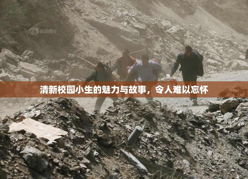清新校园小生的魅力与故事，令人难以忘怀