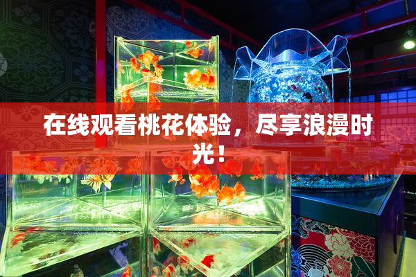 在线观看桃花体验，尽享浪漫时光！