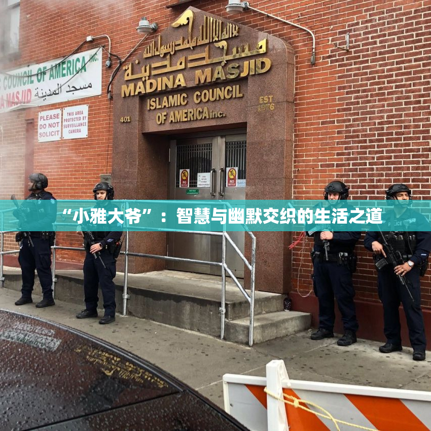 “小雅大爷”：智慧与幽默交织的生活之道