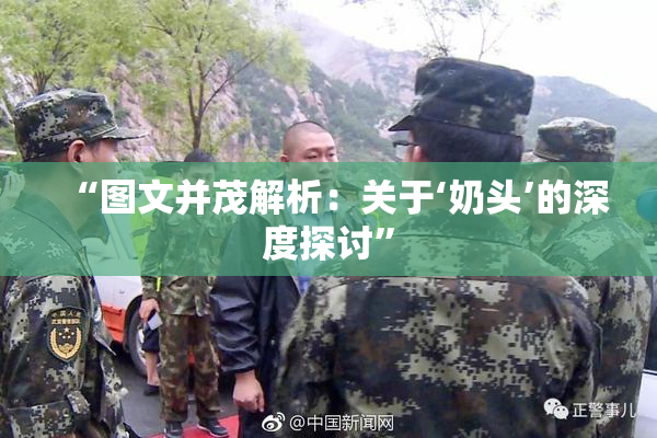 “图文并茂解析：关于‘奶头’的深度探讨”