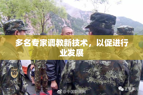 多名专家调教新技术，以促进行业发展