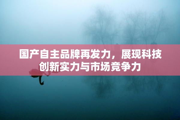 国产自主品牌再发力，展现科技创新实力与市场竞争力