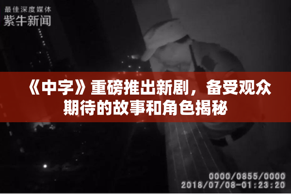 《中字》重磅推出新剧，备受观众期待的故事和角色揭秘