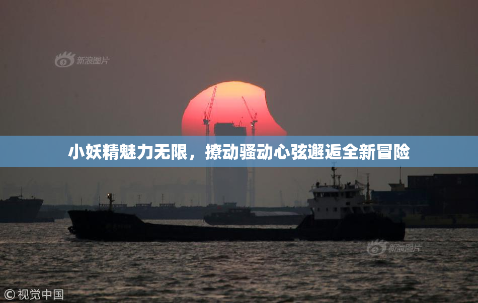 小妖精魅力无限，撩动骚动心弦邂逅全新冒险