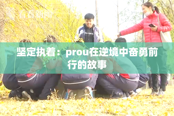 坚定执着：prou在逆境中奋勇前行的故事