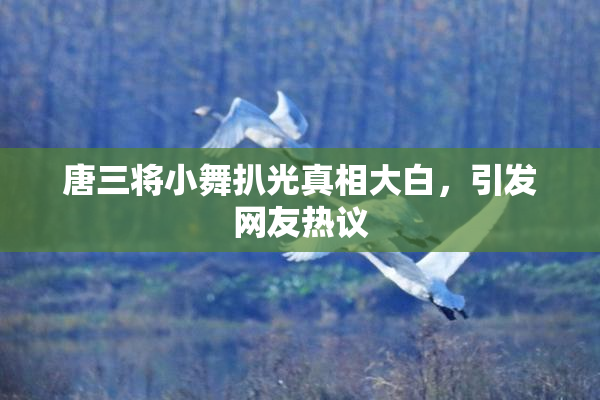 唐三将小舞扒光真相大白，引发网友热议