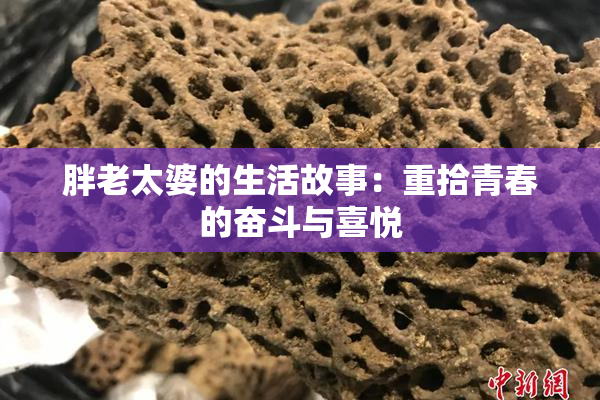 胖老太婆的生活故事：重拾青春的奋斗与喜悦