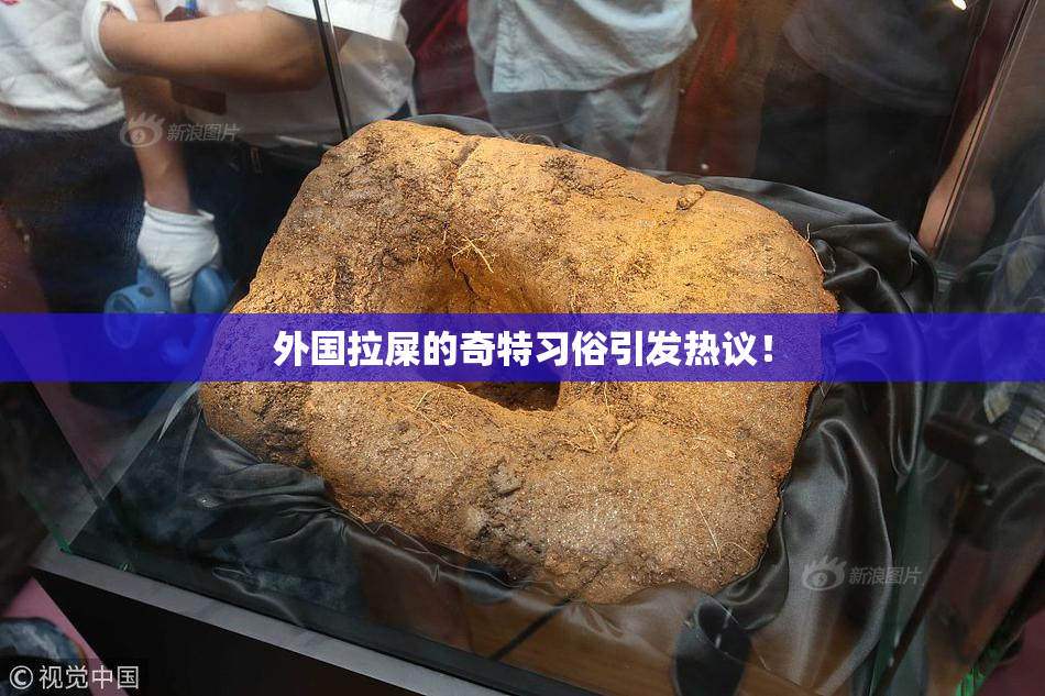 外国拉屎的奇特习俗引发热议！