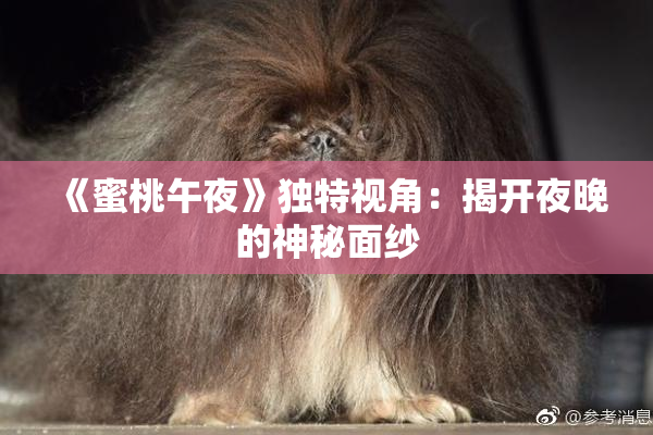 《蜜桃午夜》独特视角：揭开夜晚的神秘面纱