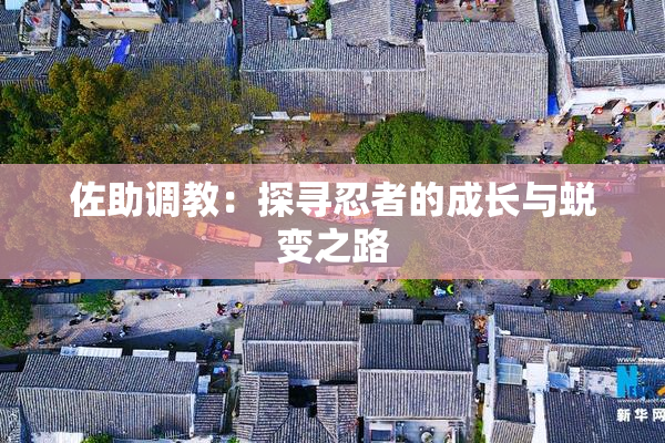佐助调教：探寻忍者的成长与蜕变之路