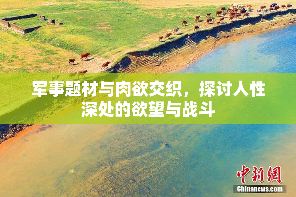 军事题材与肉欲交织，探讨人性深处的欲望与战斗