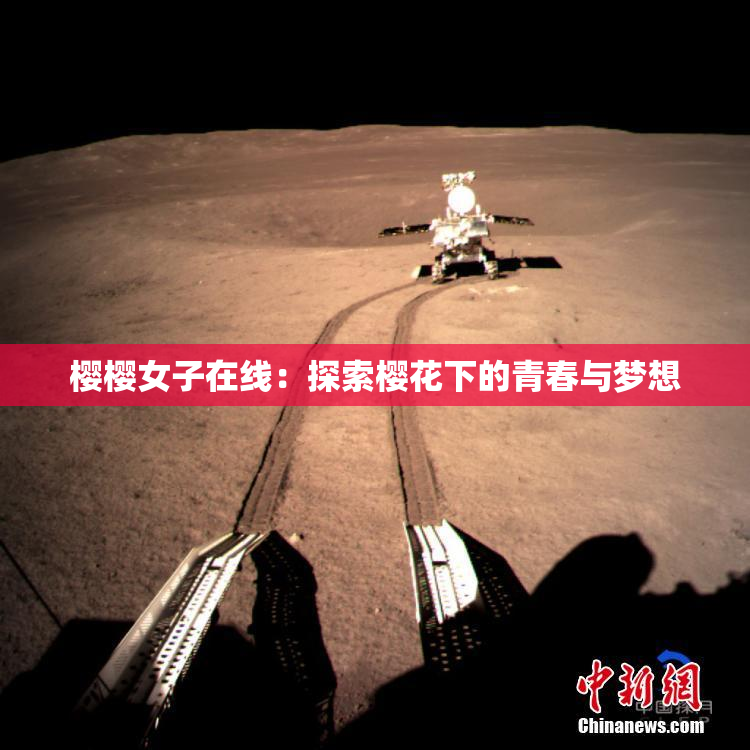 樱樱女子在线：探索樱花下的青春与梦想