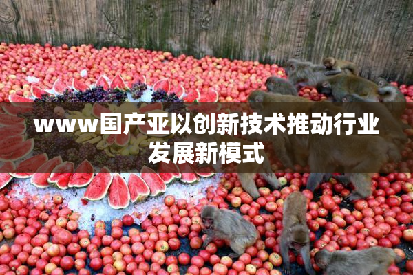 www国产亚以创新技术推动行业发展新模式