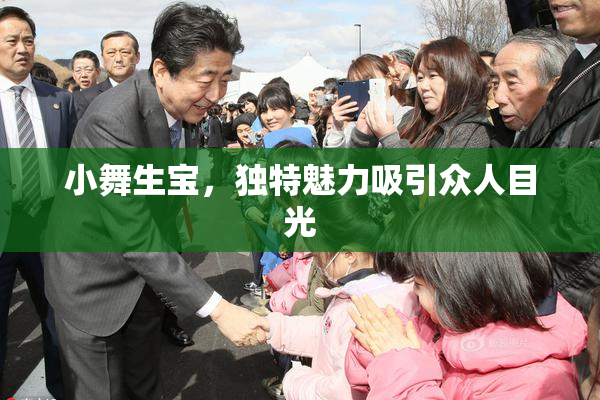 小舞生宝，独特魅力吸引众人目光