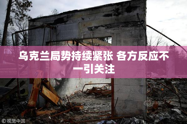 乌克兰局势持续紧张 各方反应不一引关注