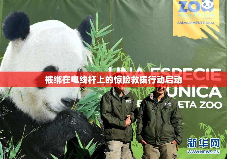 被绑在电线杆上的惊险救援行动启动