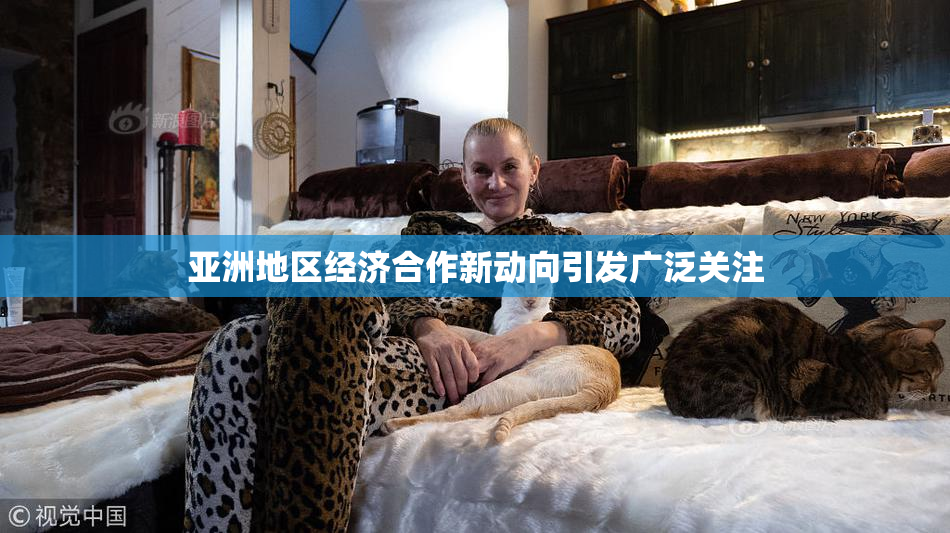 亚洲地区经济合作新动向引发广泛关注