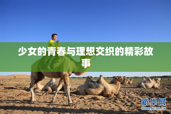 少女的青春与理想交织的精彩故事
