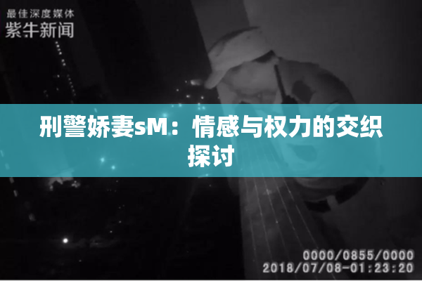 刑警娇妻sM：情感与权力的交织探讨