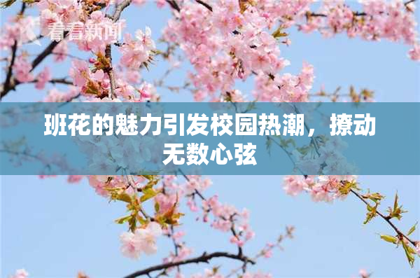 班花的魅力引发校园热潮，撩动无数心弦