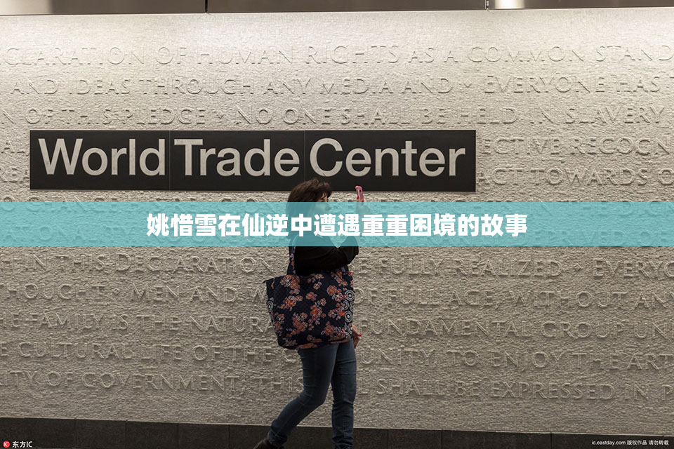 姚惜雪在仙逆中遭遇重重困境的故事
