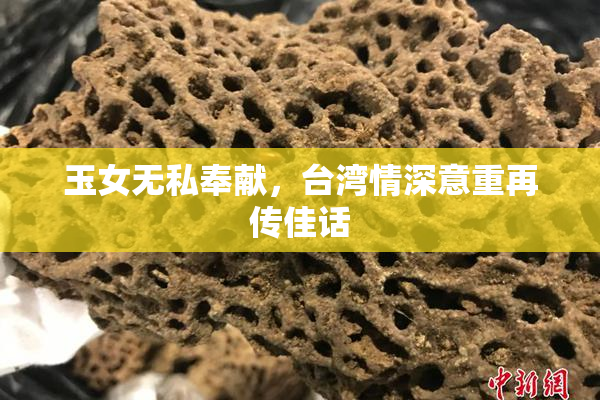 玉女无私奉献，台湾情深意重再传佳话
