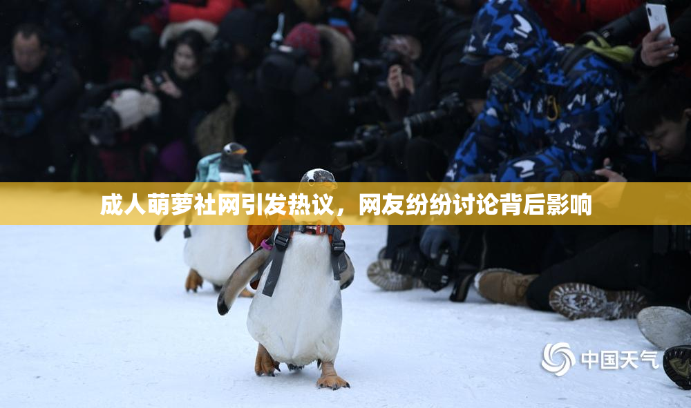 成人萌萝社网引发热议，网友纷纷讨论背后影响