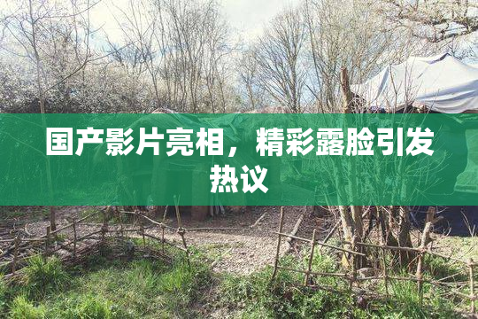 国产影片亮相，精彩露脸引发热议