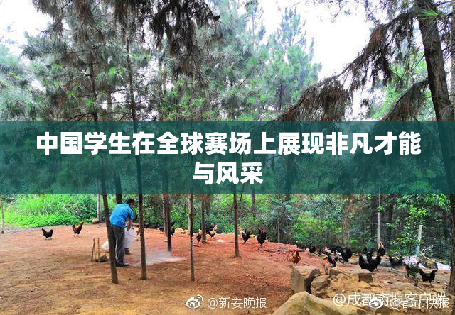 中国学生在全球赛场上展现非凡才能与风采
